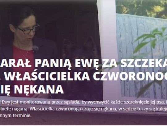 Skazana w Elblągu za szczekanie psa [TVN UWAGA WIDEO]