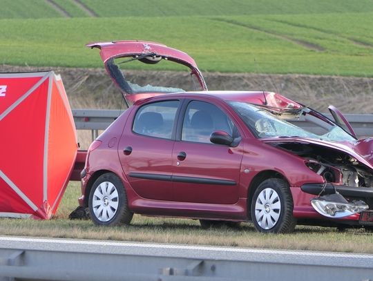 Śmiertelne potrącenie na S7. Nie żyje 28 latek