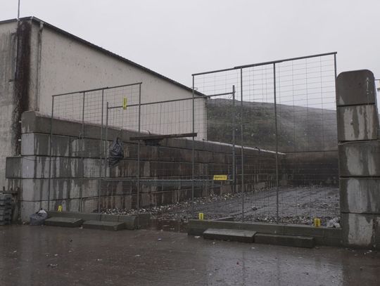 Śnieg może utrudnić dzikim psom polowanie, wtedy skuteczność odłowni będzie największa [WIDEO]