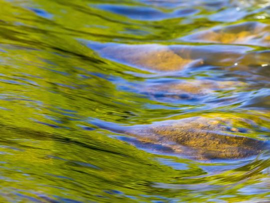 Śnięte ryby pojawiły się w powiecie nowodworskim