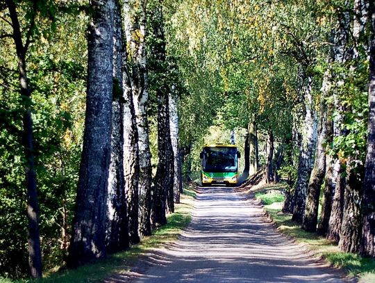 Specjalna linia autobusowa w Elblągu od 1 kwietnia