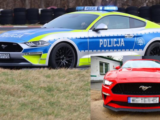 Sportowy Mustang będzie teraz ścigał piratów drogowych