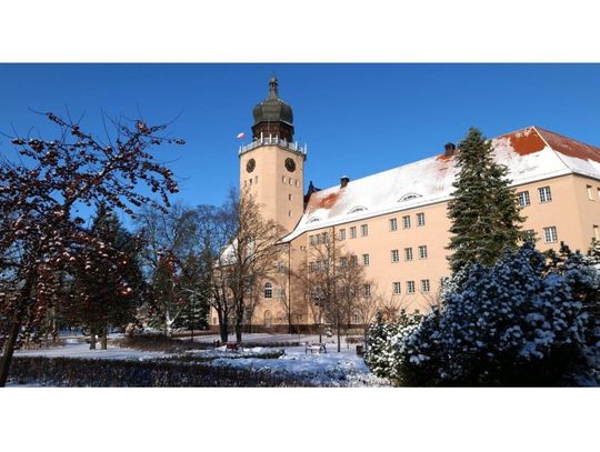 Stanowisko władz Elbląga z oddaleniem skargi kasacyjnej w sprawie likwidacji pogotowia socjalnego