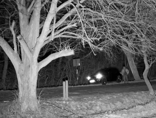 Staranował szlaban na granicy [WIDEO]