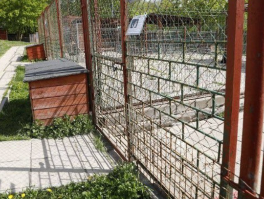 Stare boksy do remontu. Zwierzęta ze schroniska liczą na Ciebie!