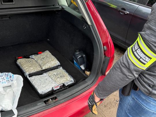 Straż Graniczna z Elbląga przechwyciła narkotyki na trójmiejskiej obwodnicy