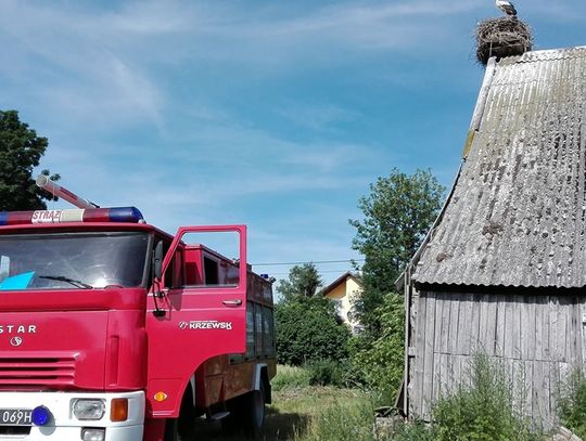 Strażacy uratowali bociana