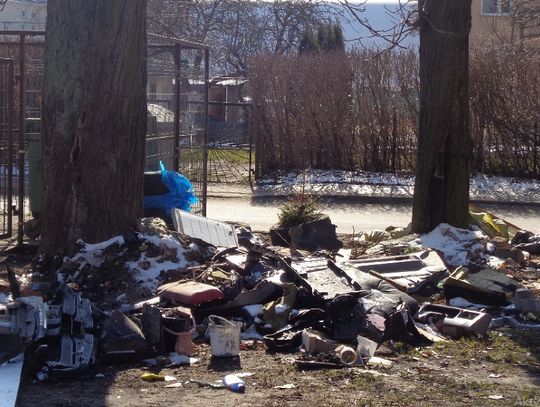 Strażnicy kontrolują posesje w Elblągu -" do niektórych właścicieli wrócą"