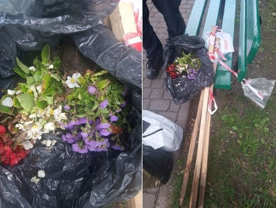 Strażnicy przyłapali go na „robieniu porządków” w parku