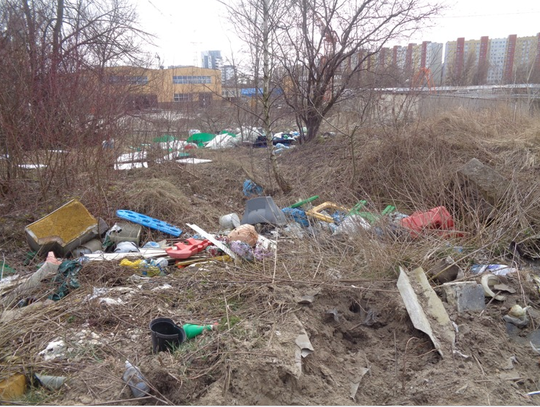 Strażnicy zakończyli akcję "Posesja" w Elblągu. Ujawniono 48 miejsc wymagających natychmiastowego uprzątnięcia!