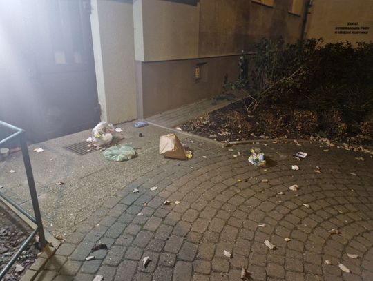 Strażnikom miejskim powiedziała, że małpy rozrzuciły odpady....