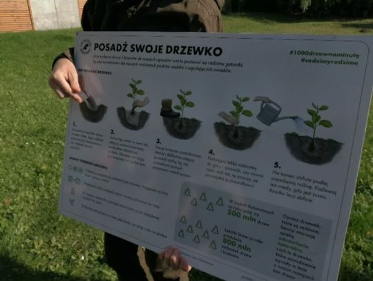 Święto drzewa w przedszkolu nr 6 w Elblągu