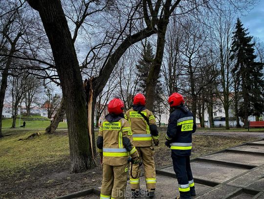 Synoptycy wydali alert dla powiatu elbląskiego