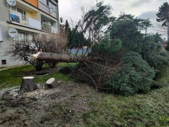 Synoptycy wydali ostrzeżenie 2 stopnia