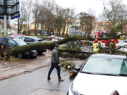 Synoptycy wydali ostrzeżenie dla Elbląga. Nawet do 100 km/h!