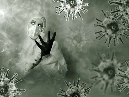 Sytuacja epidemiologiczna w Elblągu i regionie