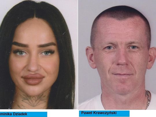 Szuka ich elbląska policja Szuka ich elbląska policja