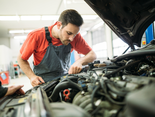 Szukasz pracy w Elblągu? W tych zawodach zatrudniają od ręki