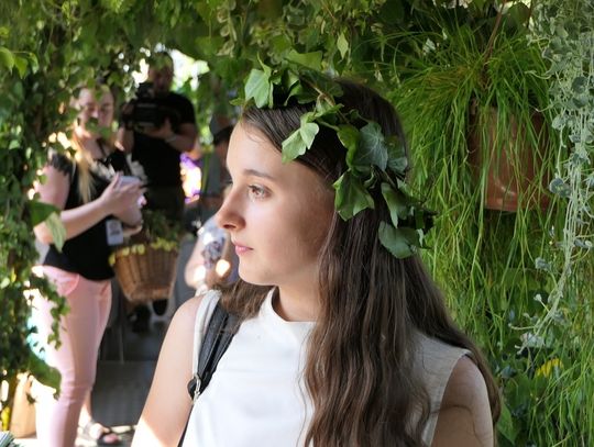 Takim tramwajem elblążanie jeszcze nie jeździli! [ZDJĘCIA]