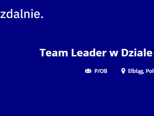 Team Leader w Dziale Sprzedaży