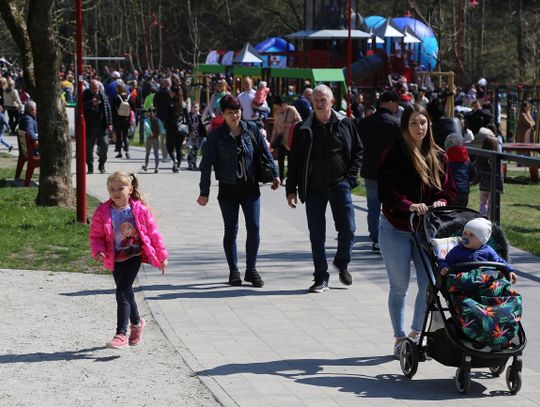 Tłumy elblążan na festynie w Parku Dolinka [ZDJĘCIA]
