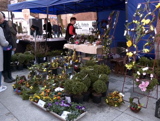 Tradycja, smaki i świąteczna atmosfera. Już w ten weekend w Elblągu