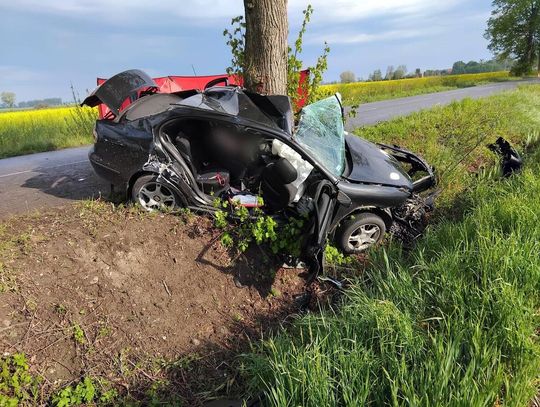 Tragedia pod Malborkiem. Nie żyje 19-latka
