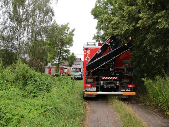 Tragedia podczas pracy. Samochód przygniótł mężczynę