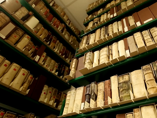 Tydzień Bibliotek 2025. Zobacz, co będzie się działo w Bibliotece Elbląskiej