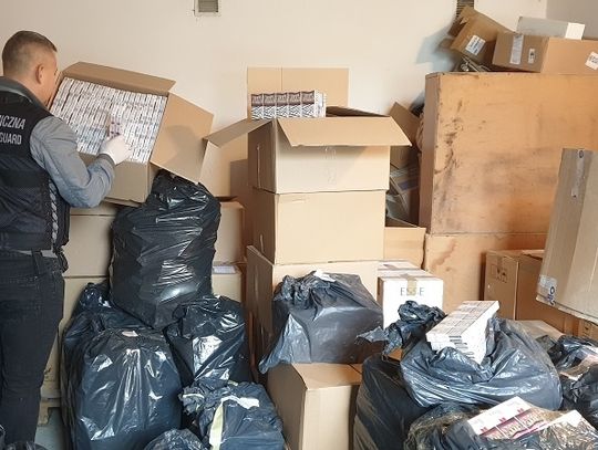 Tysiące nielegalnych papierosów za szafą