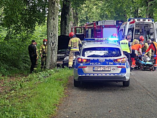 Uderzył w drzewo w Próchniku