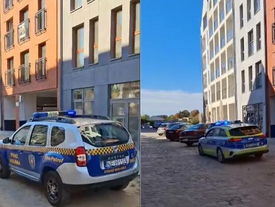 Ulica na Starym Mieście pod lupą policji i straży miejskiej [WIDEO]