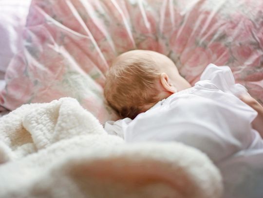 Urodzili się w Nowy Rok w Elblągu