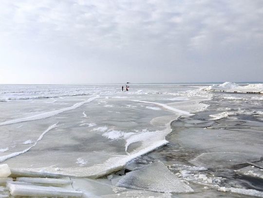 Utknęli na krze lodowej na Zalewie Wiślanym