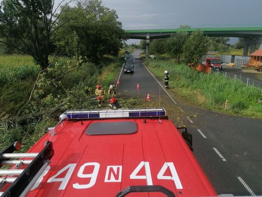 Uwaga na silny wiatr. Strażacy jeżdżą do powalonych drzew