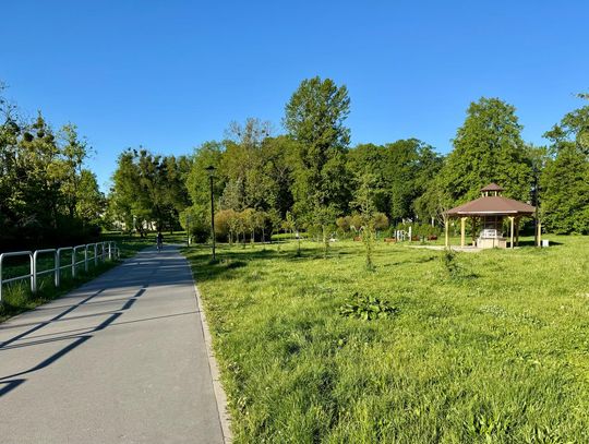 VI edycja Zielonego Budżetu wystartowała. Elblążanie mogą zgłaszać zielone projekty