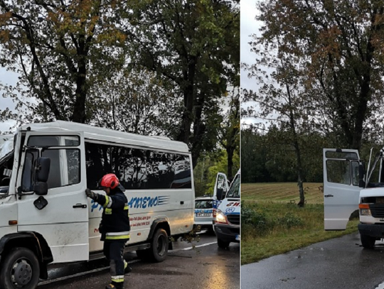 W Hucie Żuławskiej (pow. elbląski) drzewo spadło na busa. Trzy osoby poszkodowane W Hucie Żuławskiej (pow. elbląski) drzewo spadło na busa. Trzy osoby poszkodowane