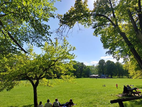 „W Krainie Buka”. Piknik Edukacyjny w Bażantarni