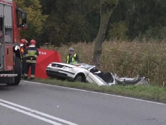 W tym roku zaczną prostować drogę Elbląg-Malbork!