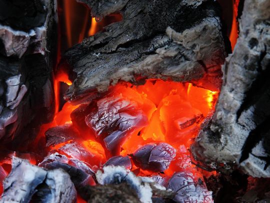 Węgiel dla mieszkańców Elbląga. Miasto przystąpiło do programu