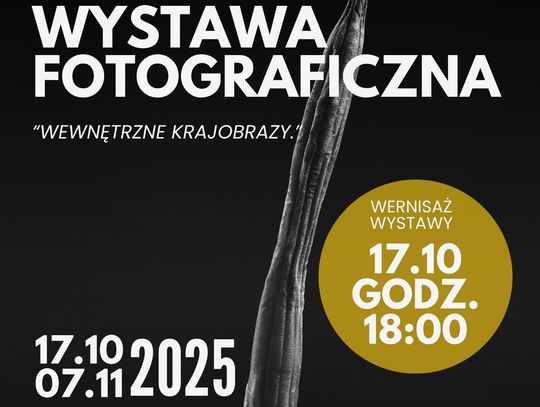 Wewnętrzne krajobrazy – fotografia w rytmie ciszy i emocji