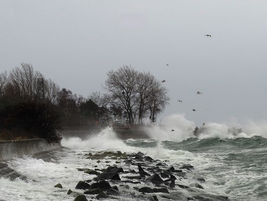 Wichura przeszła przez północną Polskę [ZDJĘCIA]