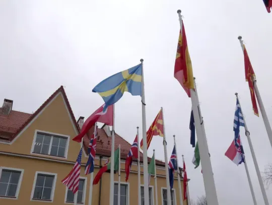 Wielonarodowa Dywizja przywitała Szwecję w NATO