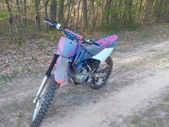 Wpadli w pułapkę w lesie