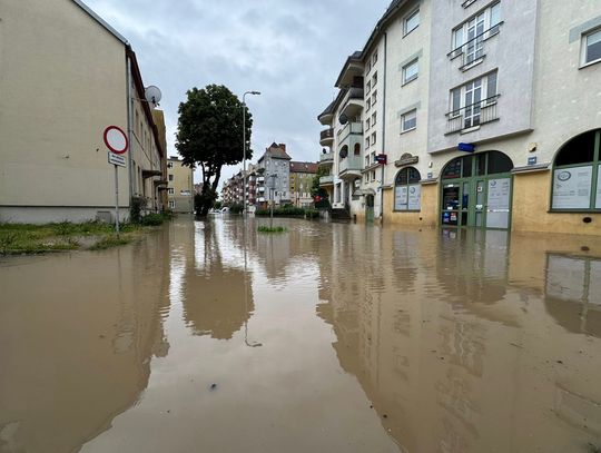 Wsparcie dla przedsiębiorców, którzy ucierpieli wskutek wylania Kumieli