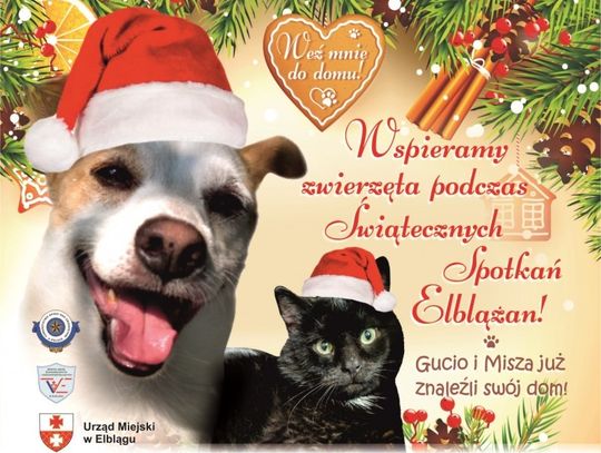 Wspierajmy czworonogi podczas Świątecznych Spotkań