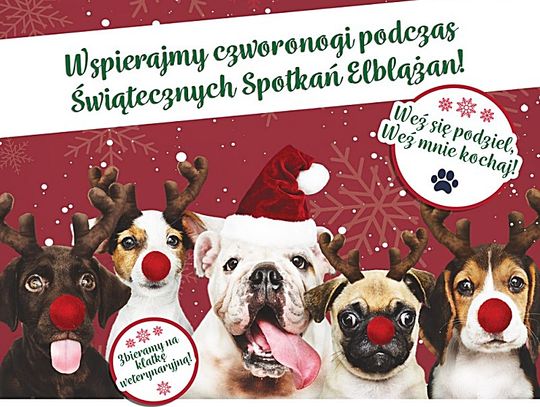 Wspierajmy elbląskie czworonogi podczas jarmarku świątecznego 