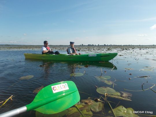 Wycieczka rowerowo-kajakowa nad Nogat