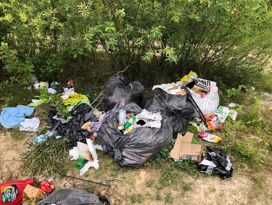 Wyrzucił śmieci na Modrzewinie. Strażnicy poznali po śmieciach do kogo należą!