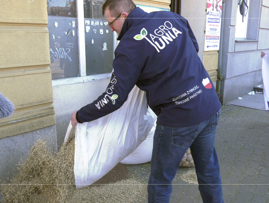 Wysypali plewy i postawili worki z ziemniakami [WIDEO]